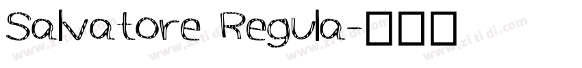 Salvatore Regula字体转换